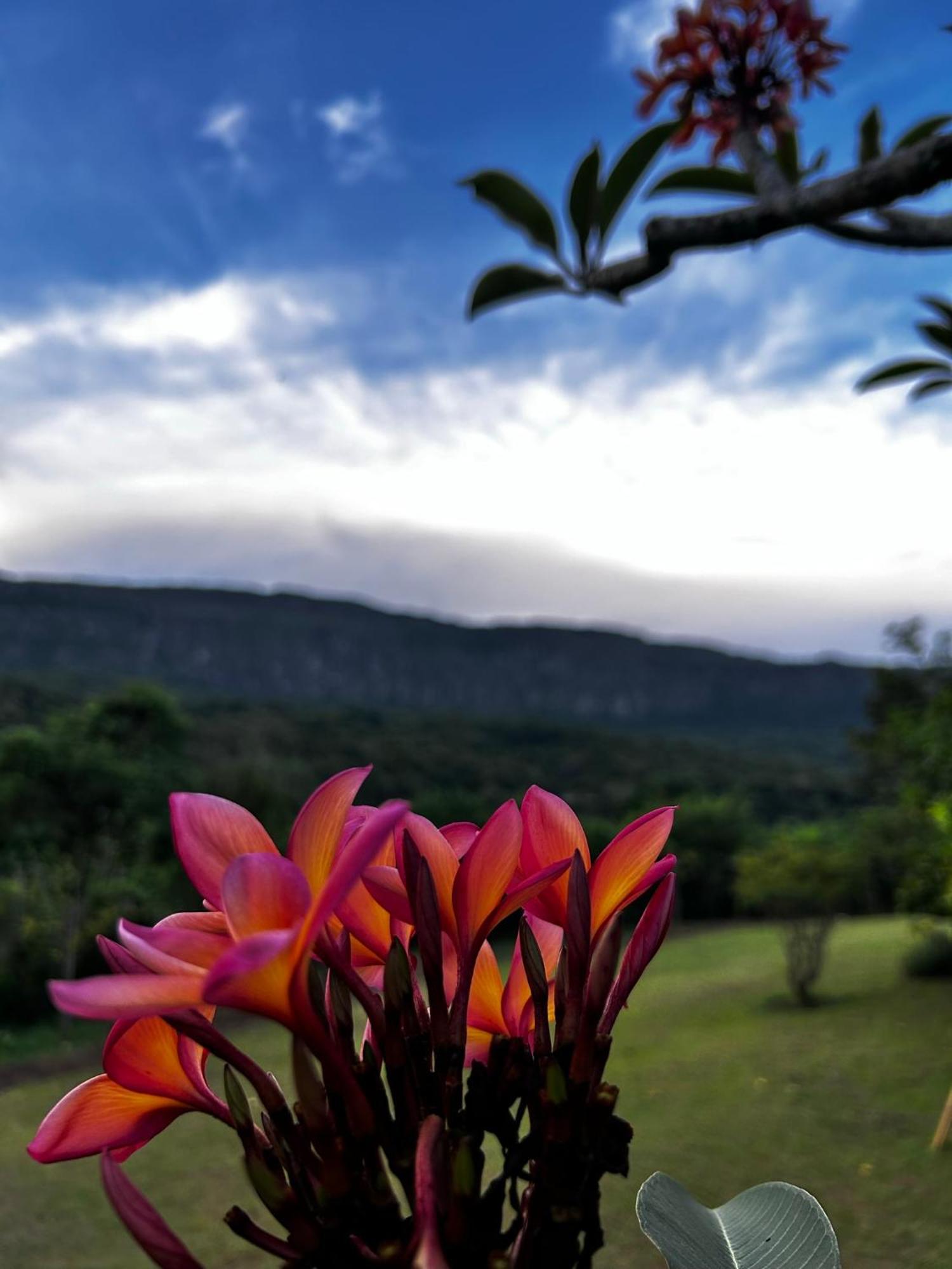 Segredo Da Serra Guest House Tiradentes Buitenkant foto